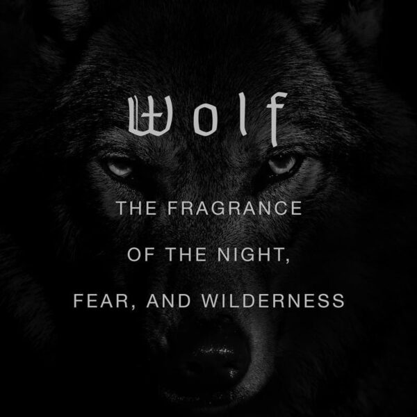WOLF - obrazek 2