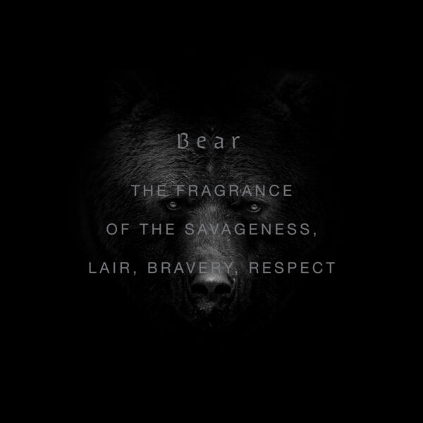 BEAR - obrazek 3