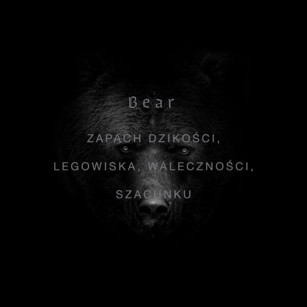 BEAR - obrazek 2
