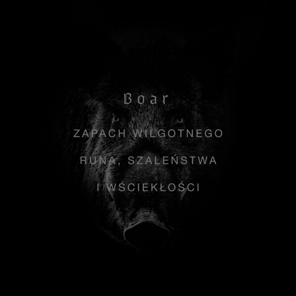 BOAR - obrazek 2