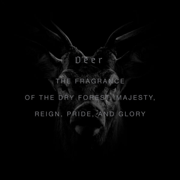 DEER - obrazek 3