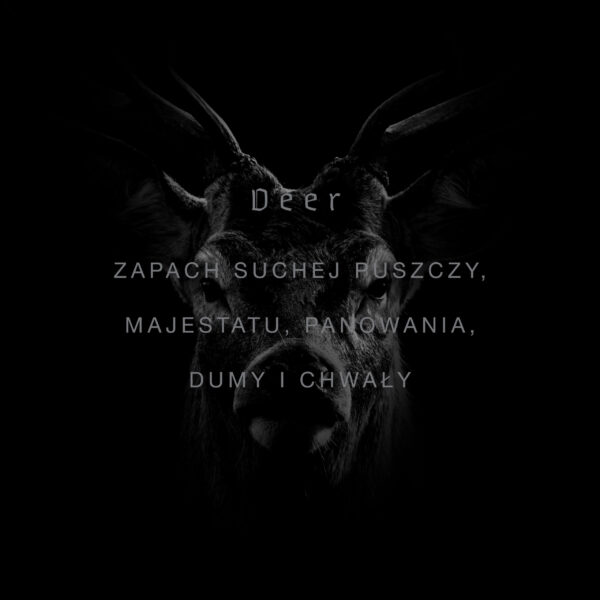DEER - obrazek 2