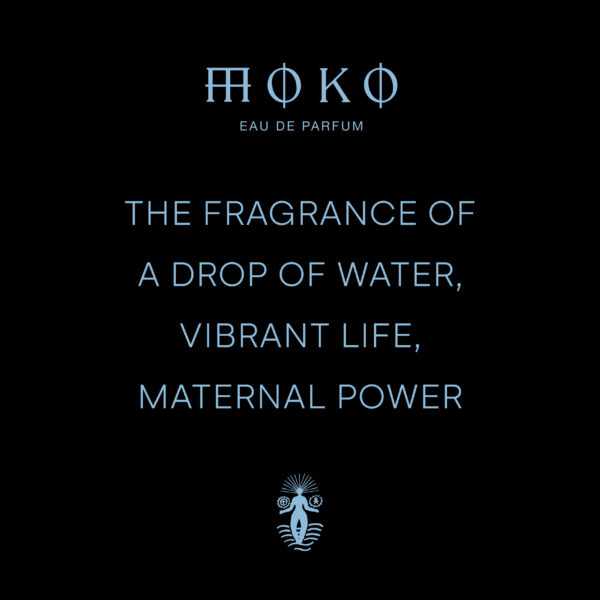 MOKO - obrazek 3