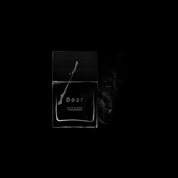 BOAR - obrazek 2