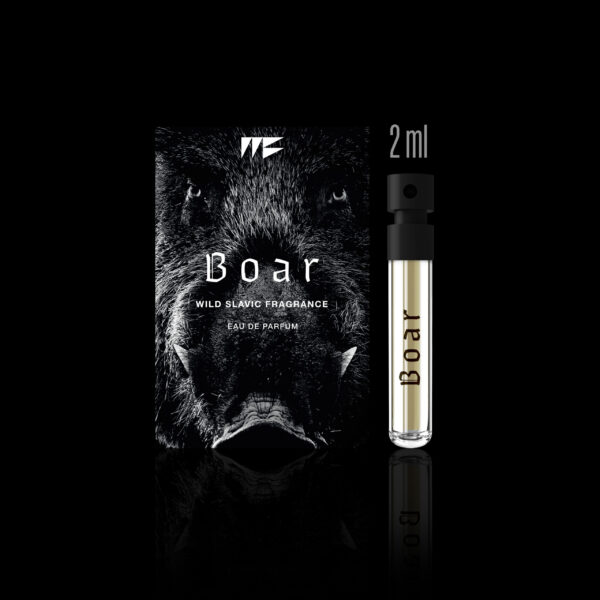 BOAR - obrazek 4