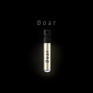 BOAR
