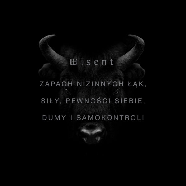 WISENT - obrazek 3