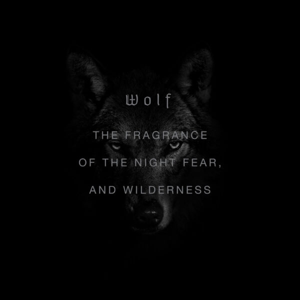 WOLF - obrazek 4